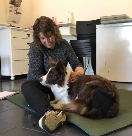 Osteopati hunde